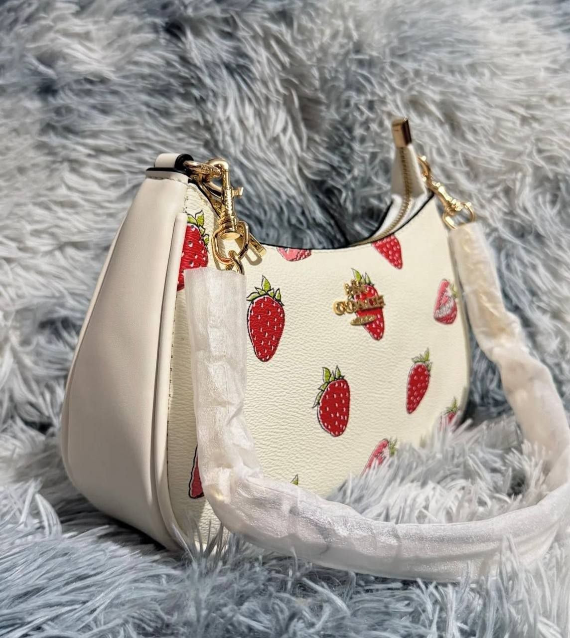 CARTERA COACH 2 EN 1