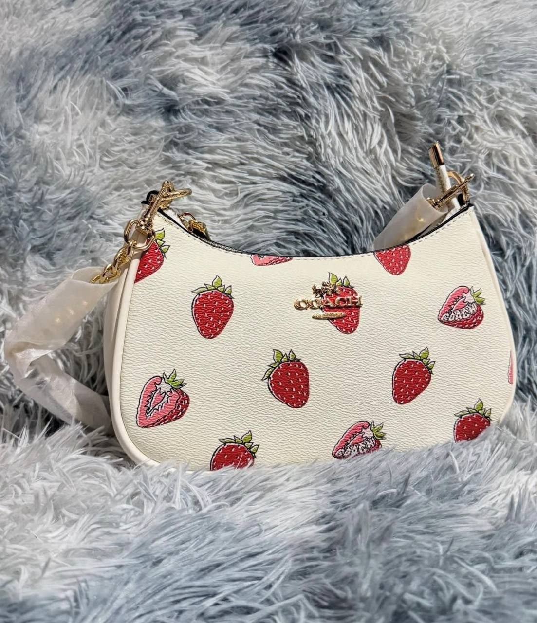 CARTERA COACH 2 EN 1